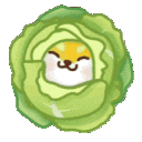 avatar-icon