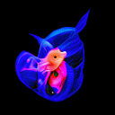 avatar-icon