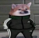:Dogeswag: