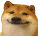 :dogefine: