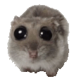 :PLEEASE:
